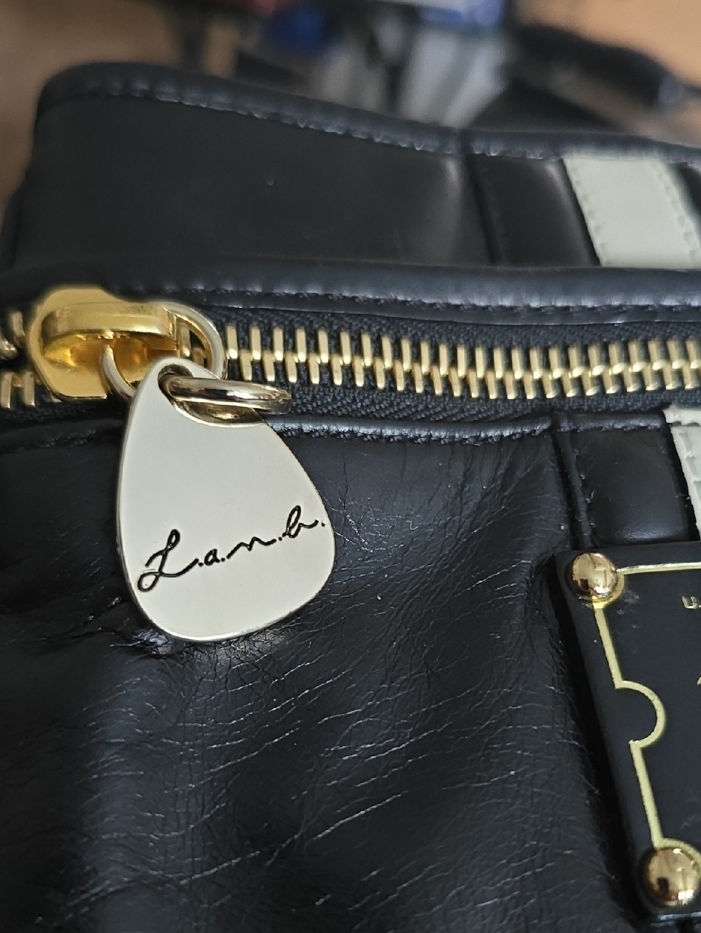 L.A.M.B. Black and Cream Vertical-Stripe Crossbody with Gold Plaque - Picture 2 of 4